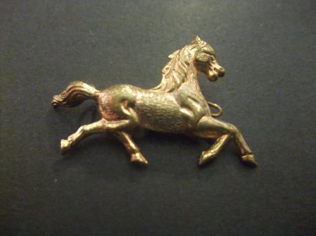 Paard goudkleurig pet embleem